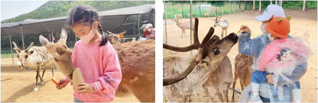 兒童節(jié)4.jpg 兒童節(jié)4.jpg