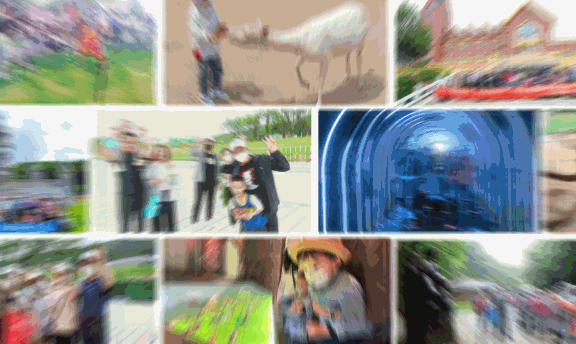 動圖備用1.gif 動圖備用1.gif